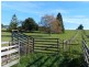 470 Ridgley Highway, Mooreville TAS 7321