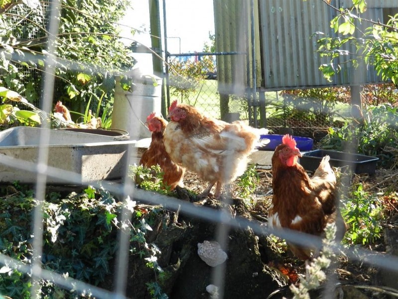 470 Ridgley Highway, Mooreville TAS 7321