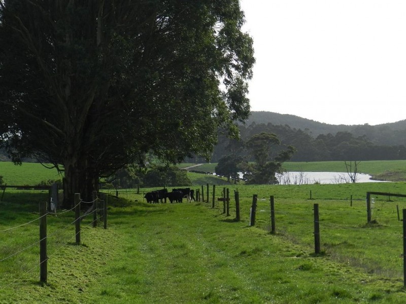 952 Myalla Road, Milabena TAS 7325