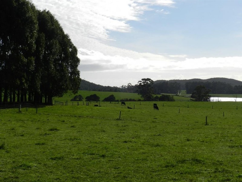 952 Myalla Road, Milabena TAS 7325
