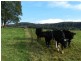 952 Myalla Road, Milabena TAS 7325