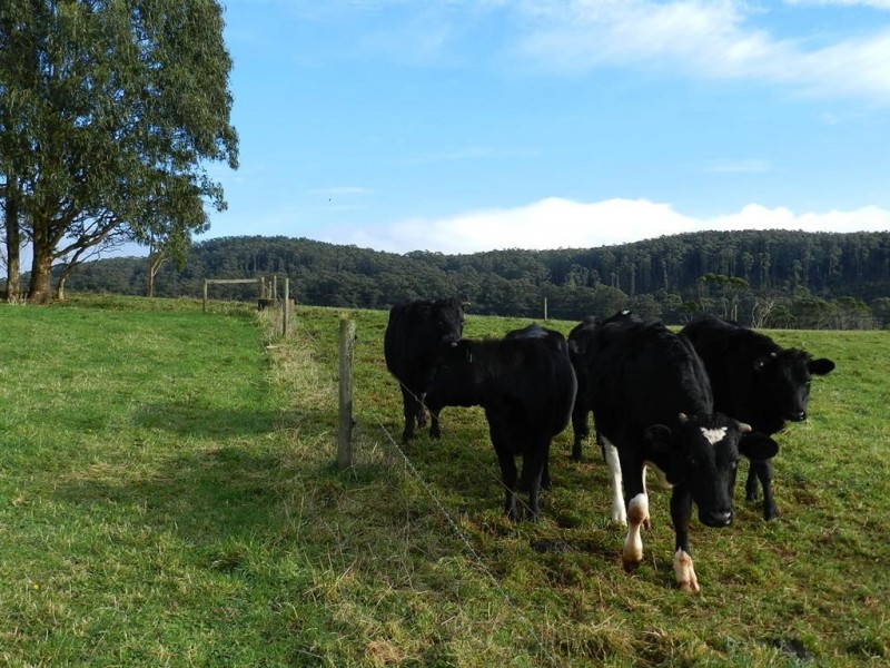 952 Myalla Road, Milabena TAS 7325
