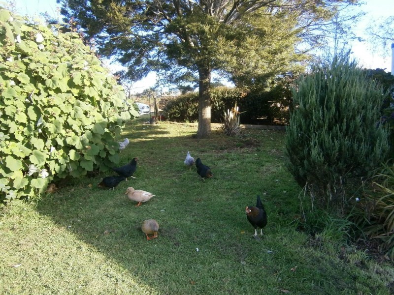 58 Little Village Lane, Somerset TAS 7322