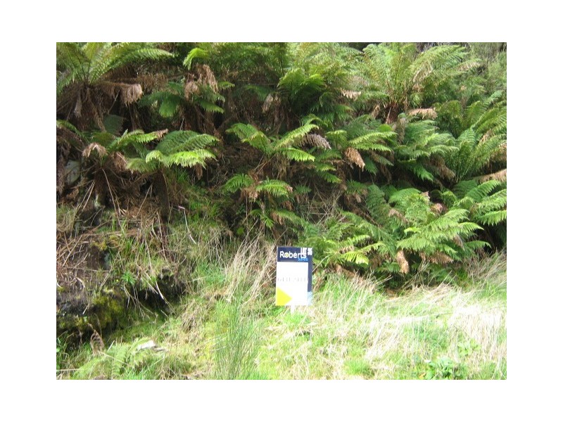 / Arthur Street, Queenstown TAS 7467