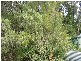 / Hunter Street, Queenstown TAS 7467
