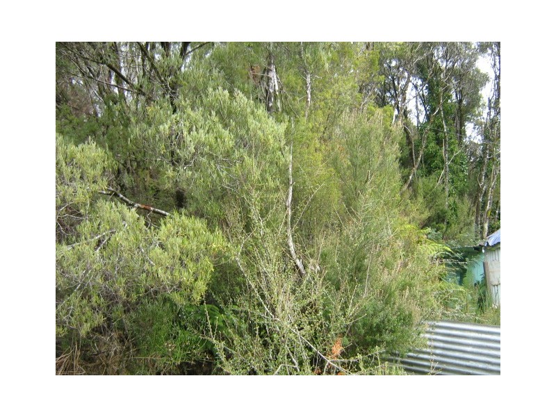 / Hunter Street, Queenstown TAS 7467