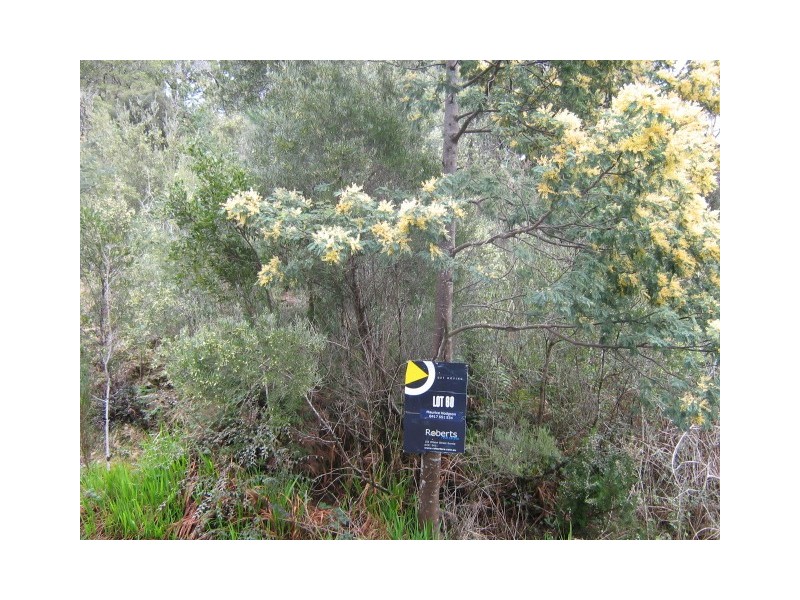 / Hunter Street, Queenstown TAS 7467