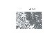 / Jenico Street, Queenstown TAS 7467
