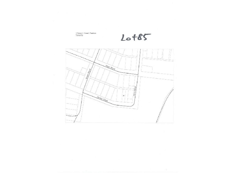 1 Severn Street, Zeehan TAS 7469