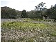/ Peters Street, Gormanston TAS 7466