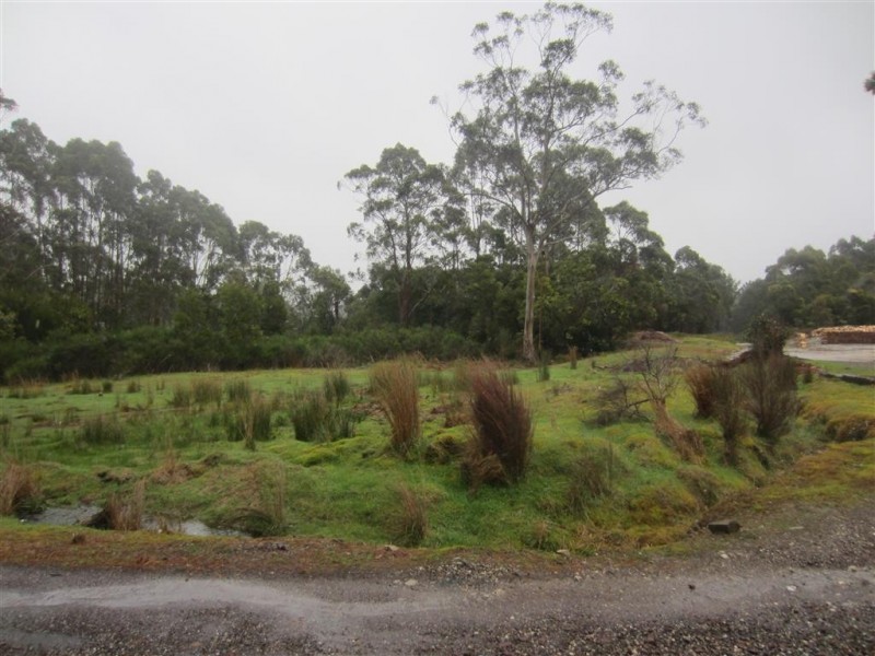 Lot 5 Hurst Street, Zeehan TAS 7469