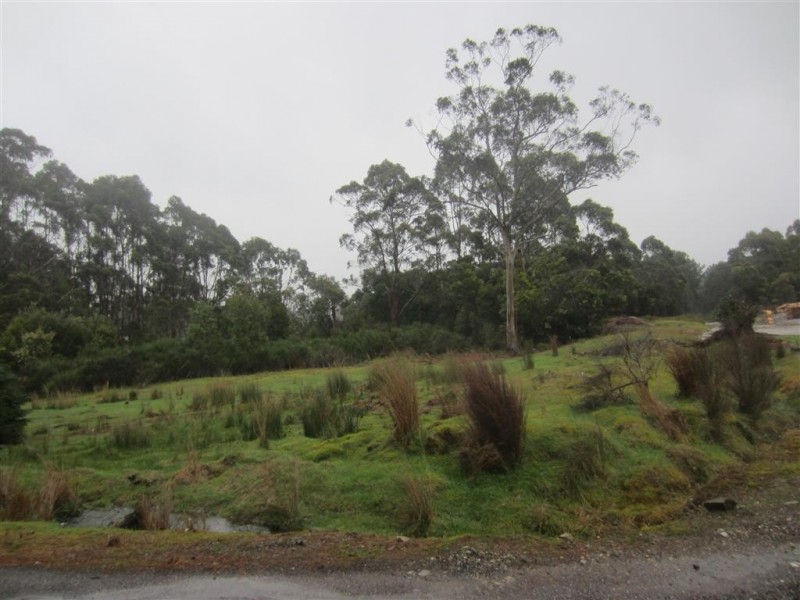 Lot 5 Hurst Street, Zeehan TAS 7469