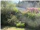 26 Henry Street, Queenstown TAS 7467