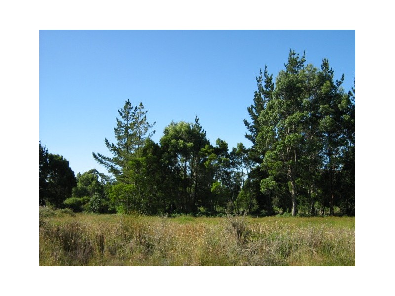 / Adams Street, Zeehan TAS 7469