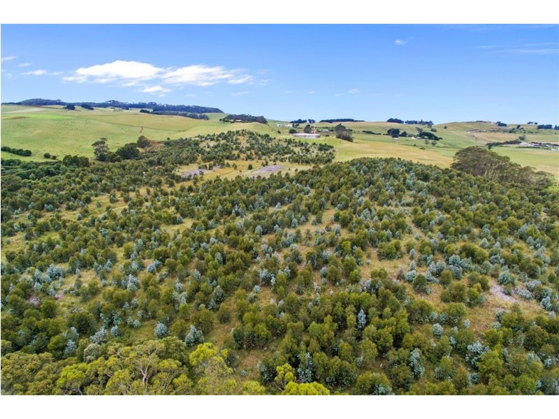 84 River Road, Wynyard TAS 7325