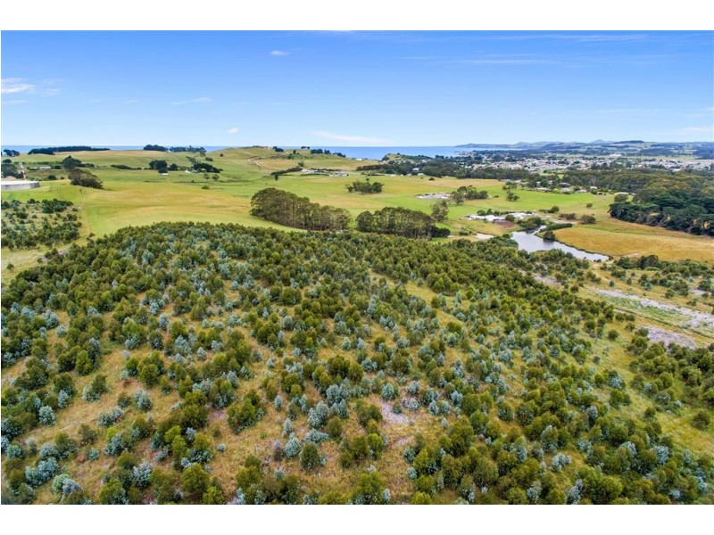 84 River Road, Wynyard TAS 7325