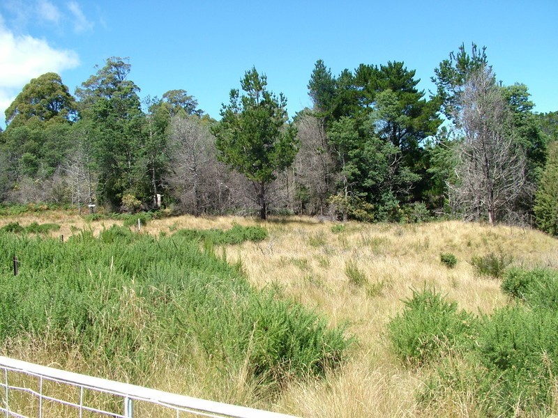 / Upper Natone ROad, Upper Natone TAS 7321