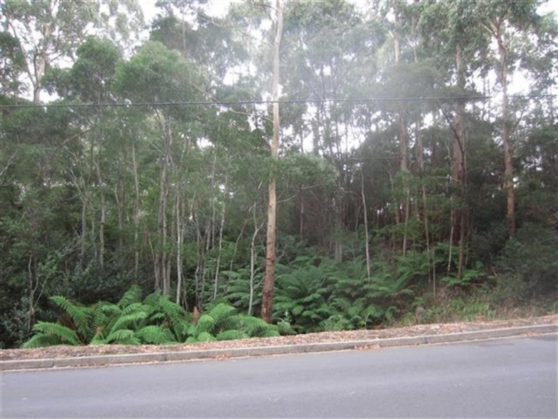 48 Harvey Street, Strahan TAS 7468