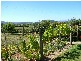 34 Eastleys Road, South Riana TAS 7316