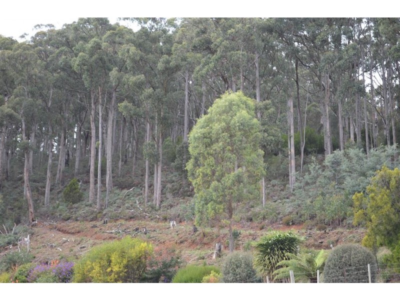 547 Gunns Plains Road, Gunns Plains TAS 7315