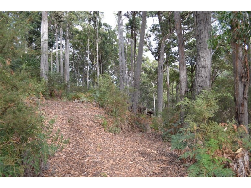 547 Gunns Plains Road, Gunns Plains TAS 7315