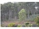 547a Gunns Plains Road, Gunns Plains TAS 7315