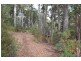 547a Gunns Plains Road, Gunns Plains TAS 7315