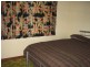 7 Austral Street, Zeehan TAS 7469