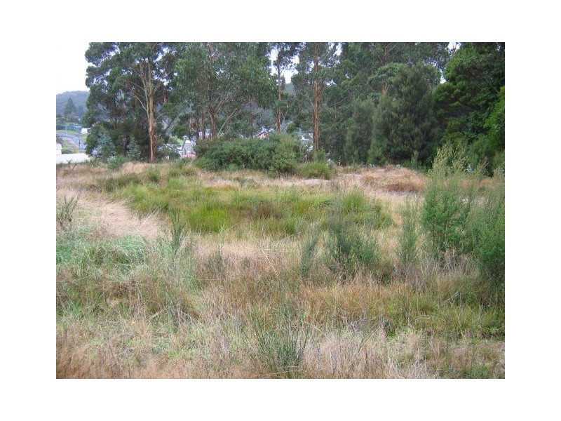 Cnr Fowell and Parkinson Streets, Zeehan TAS 7469