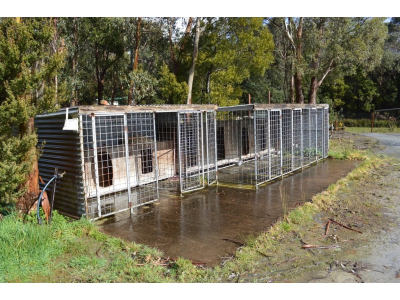 P.32 Zeehan Highway, Zeehan TAS 7469