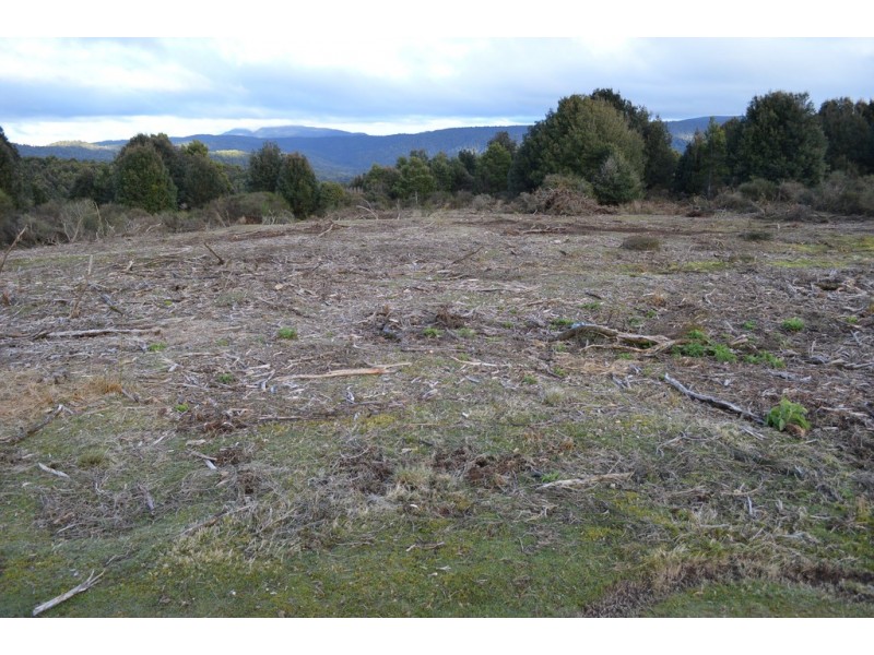 Lot 3/4 Walker Street, Waratah TAS 7321