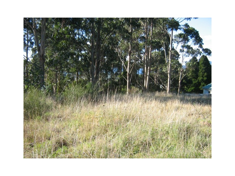 - Counsel Street, Zeehan TAS 7469