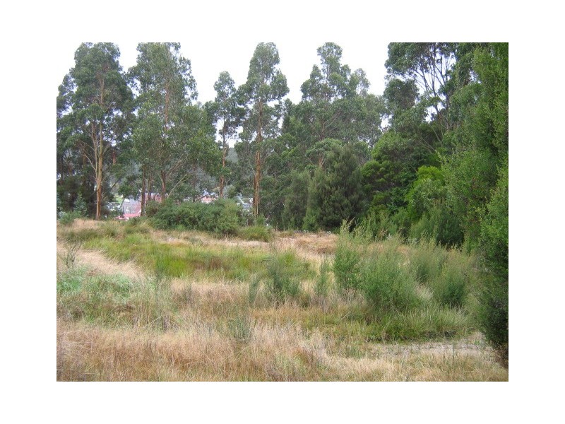 / Cnr. Fowell and Parkinson Streets, Zeehan TAS 7469