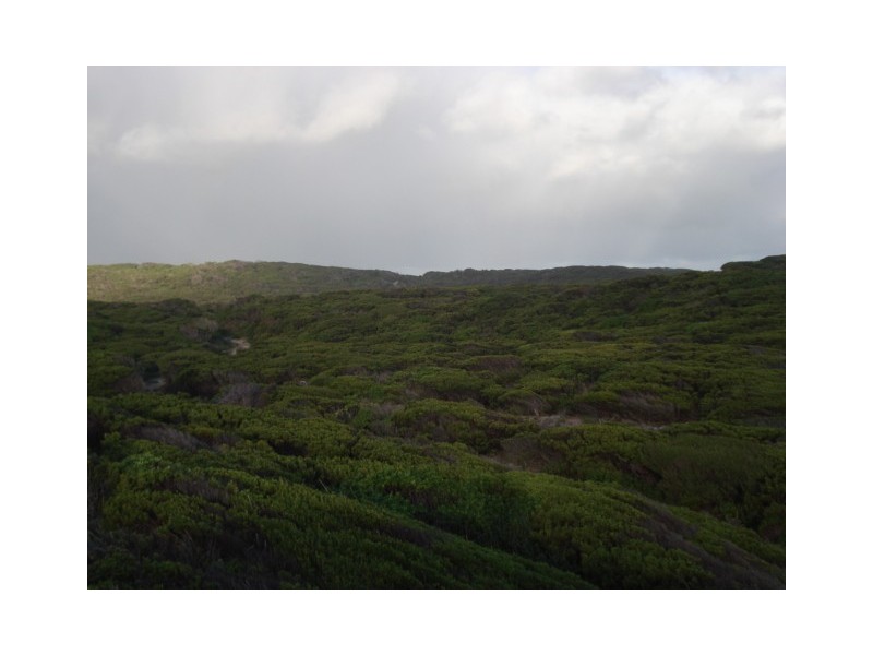 . Sandfly Beach, King Island TAS 7256