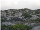 . Sandfly Beach, King Island TAS 7256