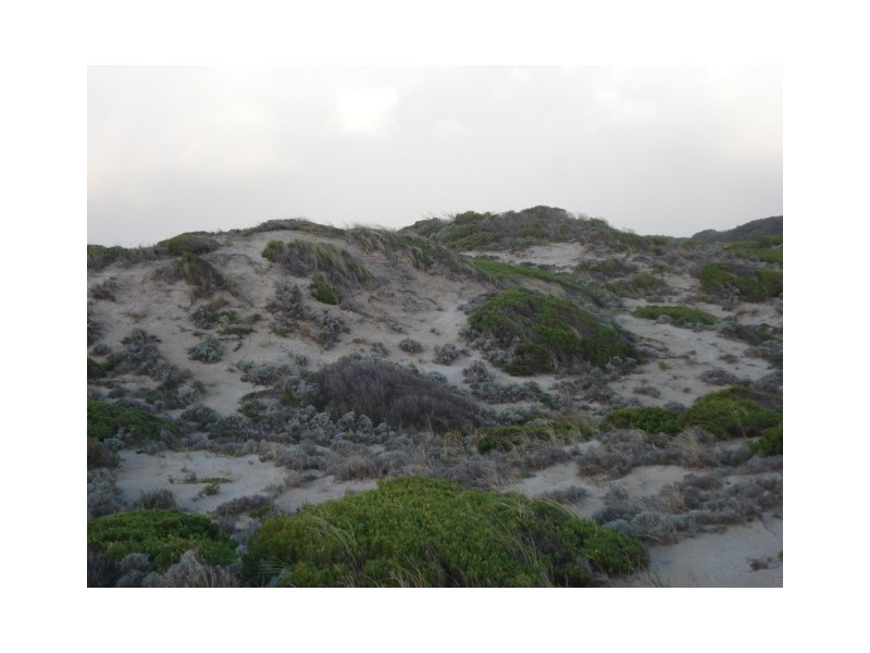 . Sandfly Beach, King Island TAS 7256