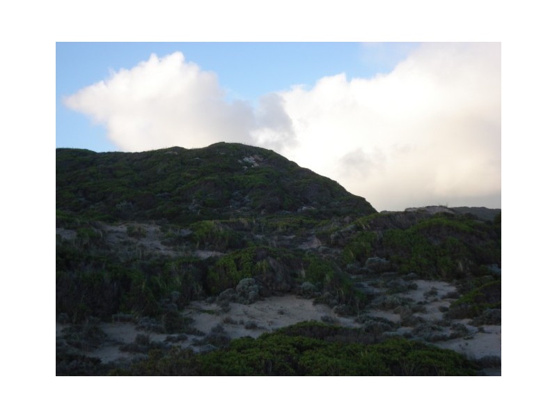 . Sandfly Beach, King Island TAS 7256