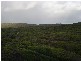 . Sandfly Beach, King Island TAS 7256