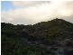 . Sandfly Beach, King Island TAS 7256