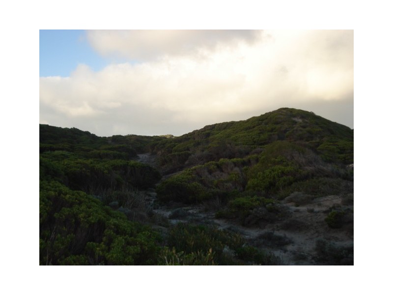 . Sandfly Beach, King Island TAS 7256