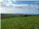 151 Westridge Road, Penguin TAS 7316