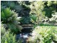 436 Back Cam Road, Somerset TAS 7322