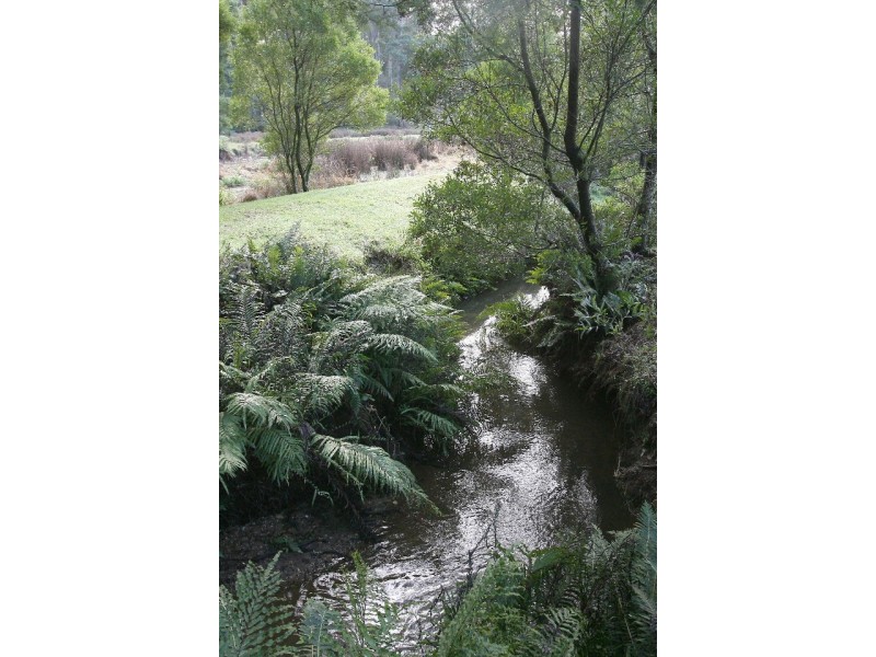 436 Back Cam Road, Somerset TAS 7322