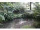436 Back Cam Road, Somerset TAS 7322