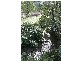 436 Back Cam Road, Somerset TAS 7322