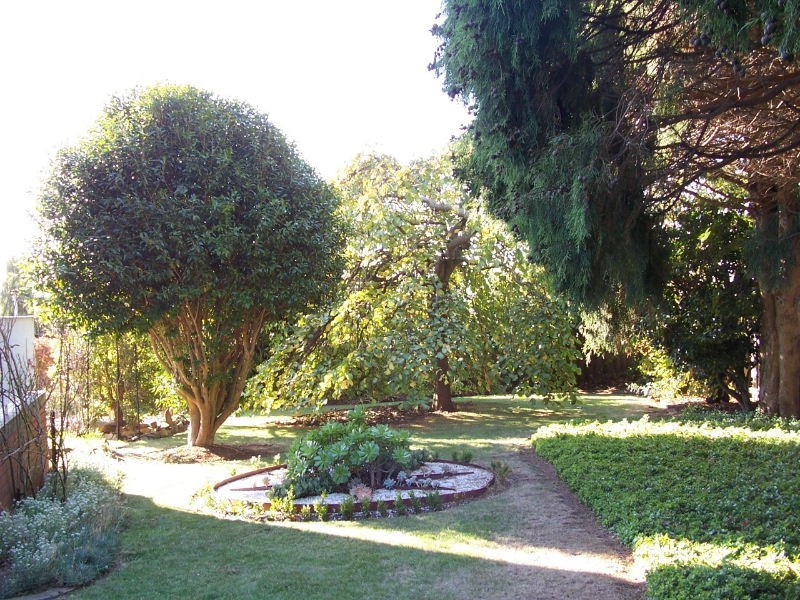 46 Pelissier Street, Somerset TAS 7322