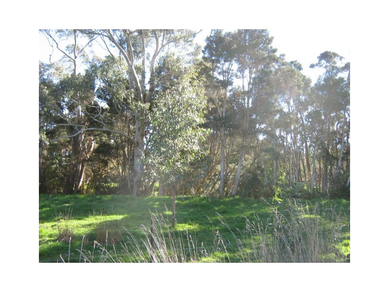 // Jack Street, Strahan TAS 7468