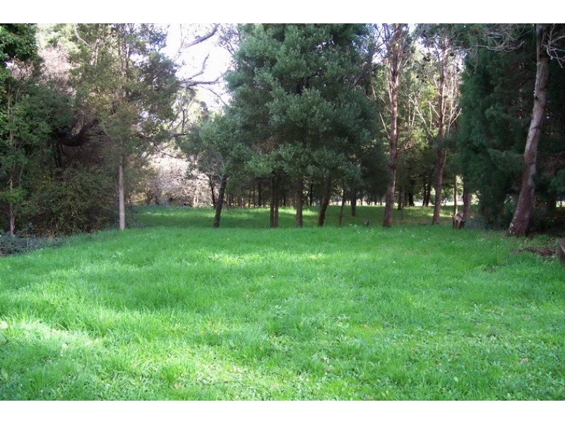 75 Little Village Lane, Somerset TAS 7322