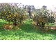 75 Little Village Lane, Somerset TAS 7322