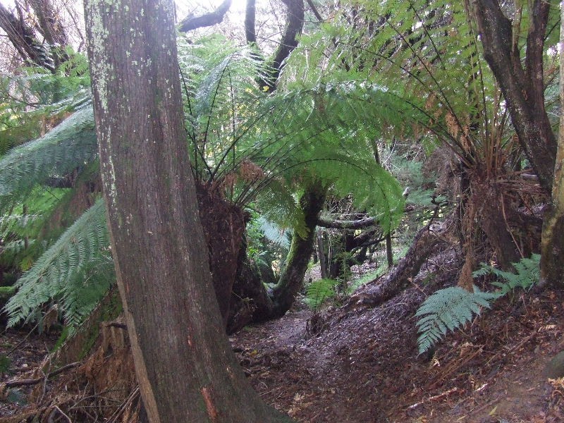 75 Little Village Lane, Somerset TAS 7322